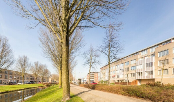 Brabantstraat