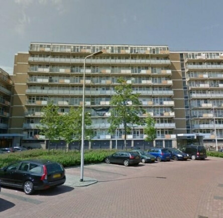 Lupinesingel